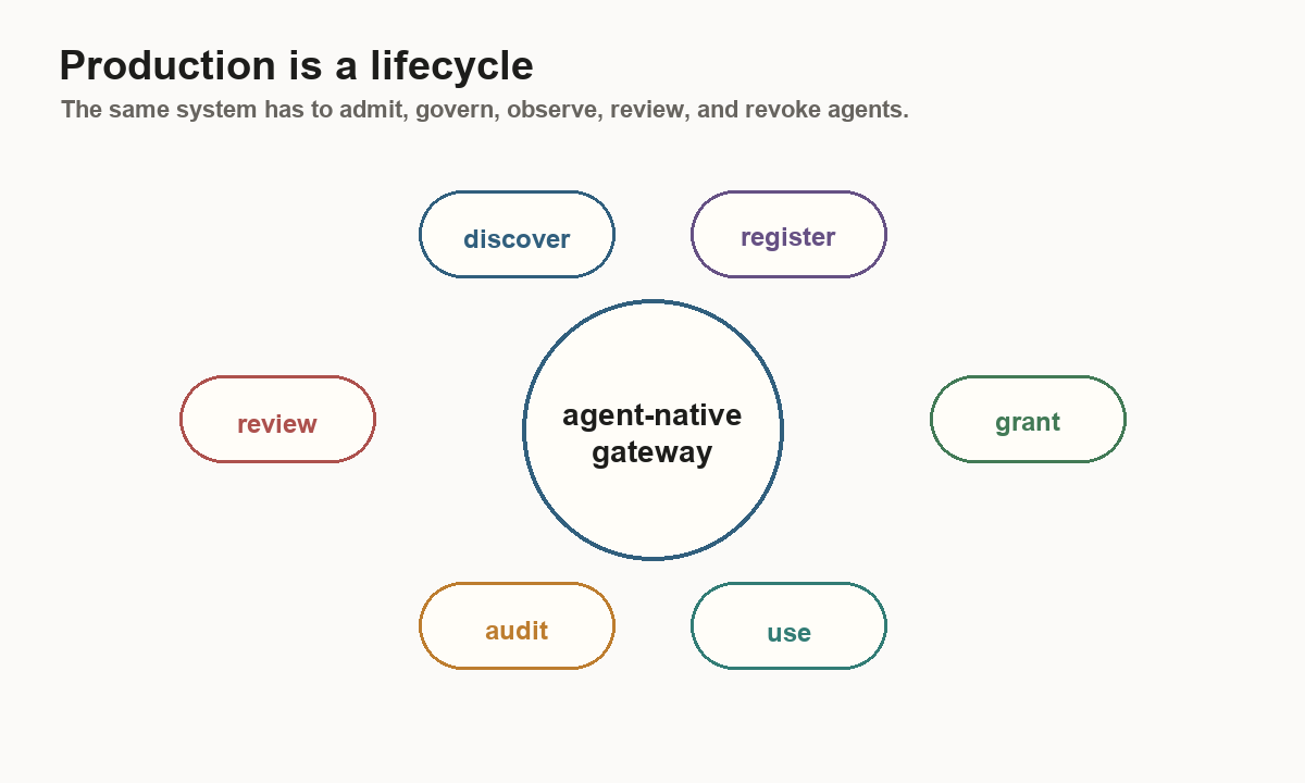 Lifecycle diagram showing discover, register, grant, use, audit, and review around an agent-native gateway.