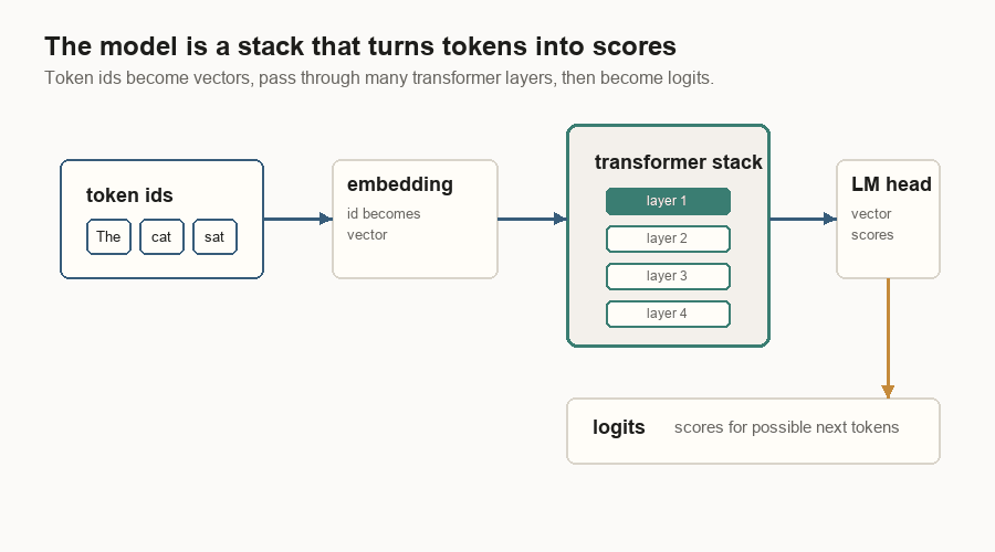 Animated diagram showing token ids becoming vectors, passing through transformer layers, and turning into logits.