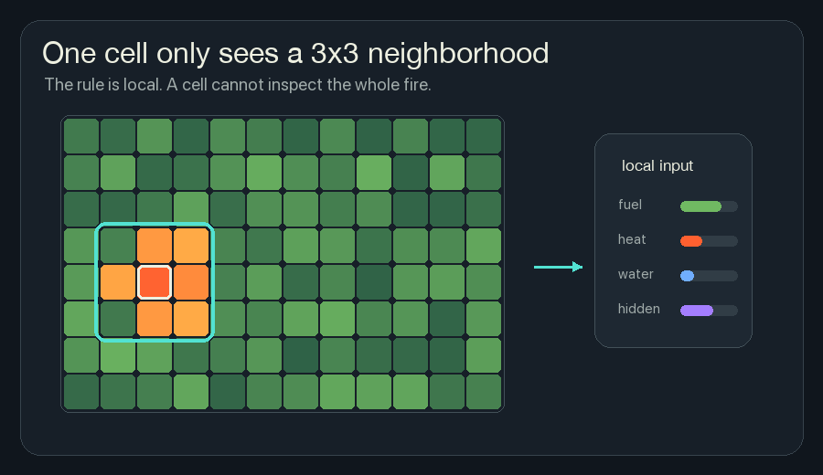 Animated wildfire grid where a cyan 3 by 3 window moves over local fuel, heat, water, and hidden state.
