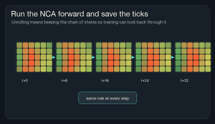 Animated filmstrip of NCA states saved across several ticks while the same shared rule runs repeatedly.